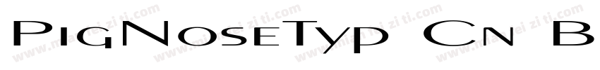 PigNoseTyp Cn Bold(1)字体转换